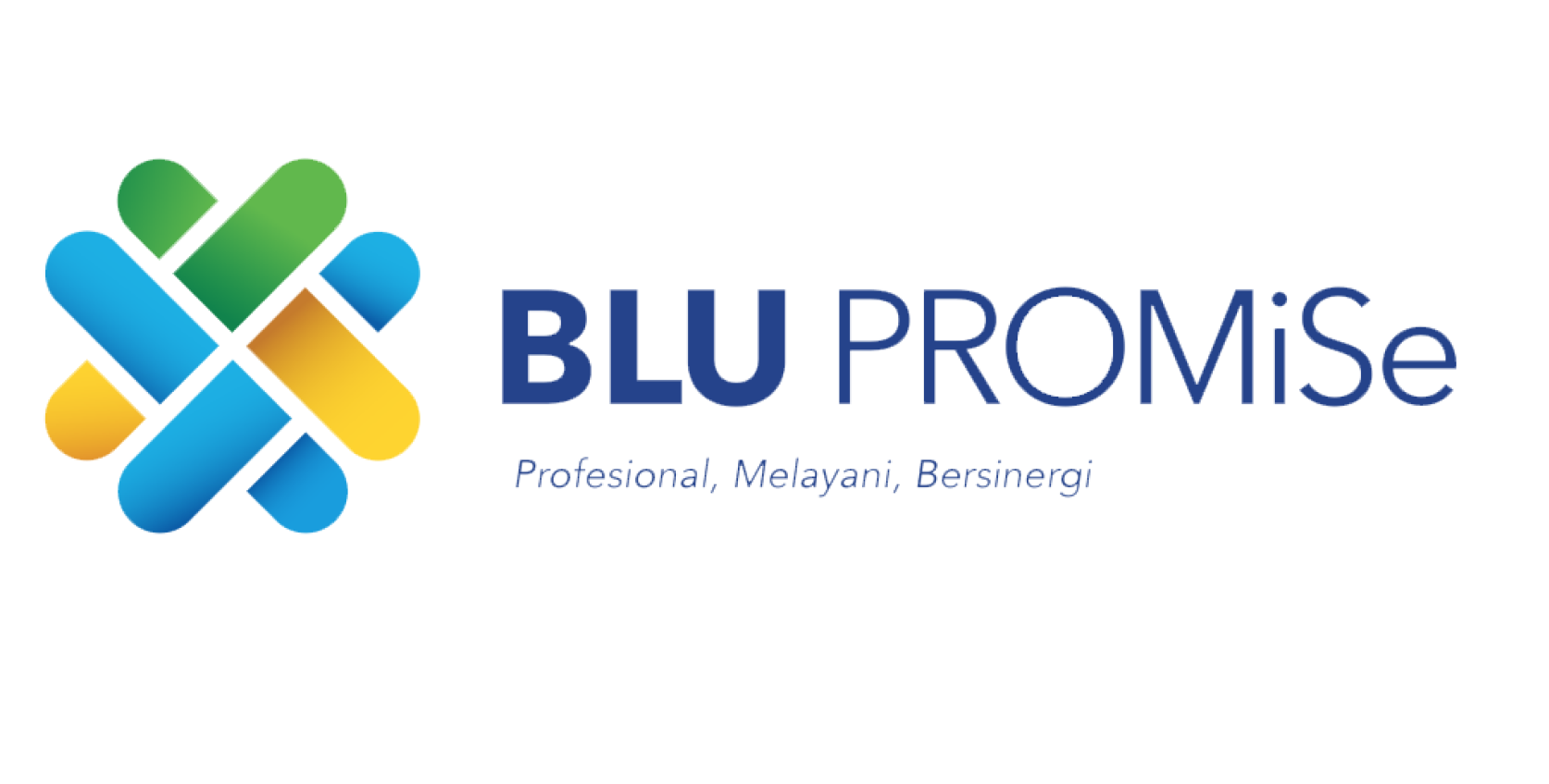 Logo BLU Promise